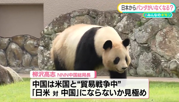 パンダ」が日本からいなくなる……“アメリカと組むな”中国からの パンダ」が日本からいなくなる……“アメリカと組むな”中国からの