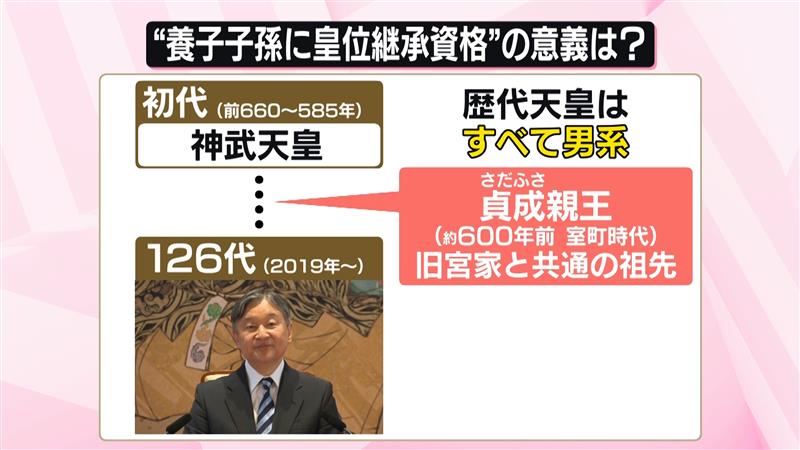 解説】皇室典範改正案「皇族数の確保」議論も…次々と問題点指摘される