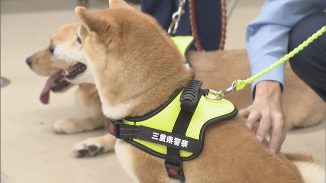 “ワンちゃん”が犯罪防止呼びかけ！？　３頭が「犯罪抑止対策犬」に就任　三重県警