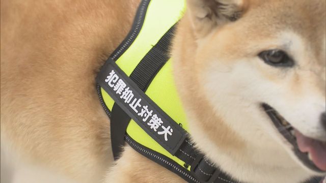 “ワンちゃん”が犯罪防止呼びかけ！？　３頭が「犯罪抑止対策犬」に就任　三重県警
