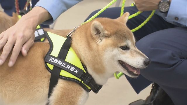 “ワンちゃん”が犯罪防止呼びかけ！？　３頭が「犯罪抑止対策犬」に就任　三重県警