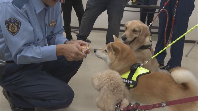 “ワンちゃん”が犯罪防止呼びかけ！？　３頭が「犯罪抑止対策犬」に就任　三重県警