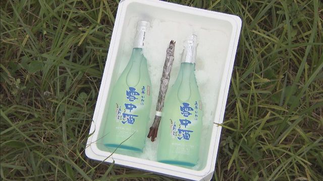 豪雪地帯の特産品「雪中酒」の出荷作業 今年は雪が少なく雪を使った冷蔵設備で貯蔵 岐阜・飛騨市