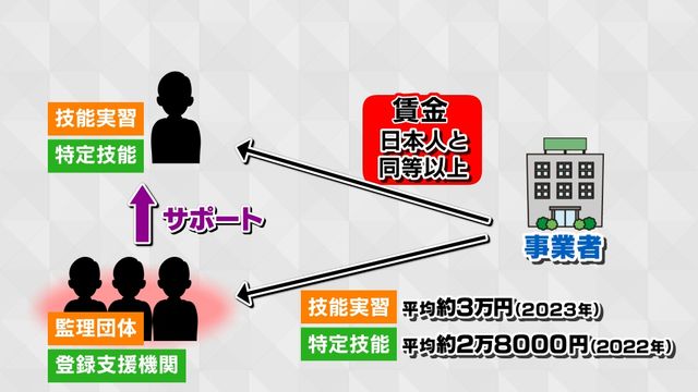 【参院選／それってほんと？】“外国人政策”が消費税を上回る争点に？　SNSで急増する外国人批判　拡散される誤情報に困惑する当事者たち