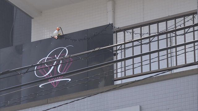 無許可で風俗営業か 経営者の男を逮捕 三重・津市