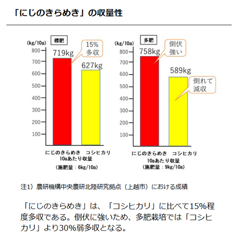 暑さに強く収量の多いイネ「にじのきらめき」と一石二鳥の「再生二期作」でコメ問題の打開へ 農業技術開発者、愛知・岐阜のコメ生産者の模索