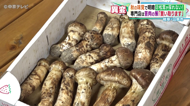 サンマとイワシが異例の豊漁　その一方で松茸はまさかの事態！？　秋の味覚に明暗