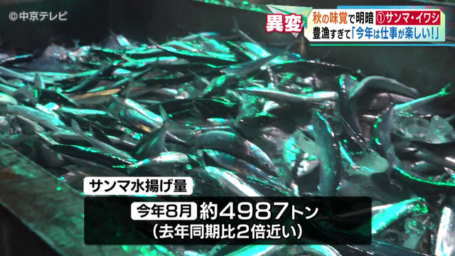 サンマとイワシが異例の豊漁　その一方で松茸はまさかの事態！？　秋の味覚に明暗