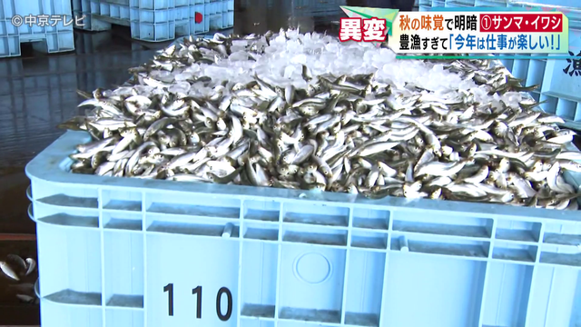サンマとイワシが異例の豊漁　その一方で松茸はまさかの事態！？　秋の味覚に明暗