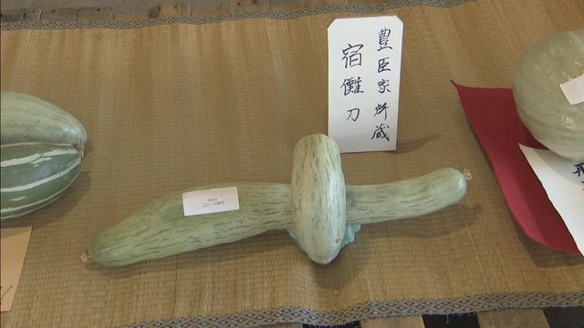 特産品「宿儺かぼちゃ」の品評会　農家が持ち寄った52点が出品　岐阜・高山市