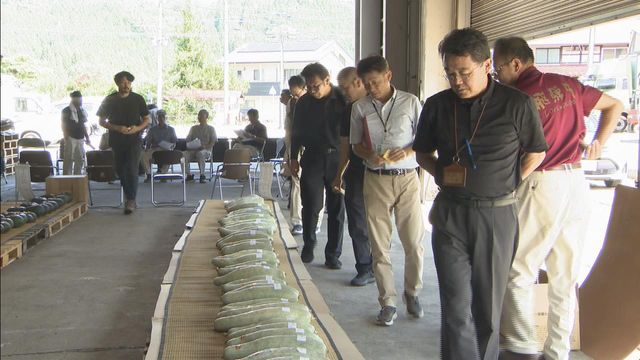 特産品「宿儺かぼちゃ」の品評会　農家が持ち寄った52点が出品　岐阜・高山市