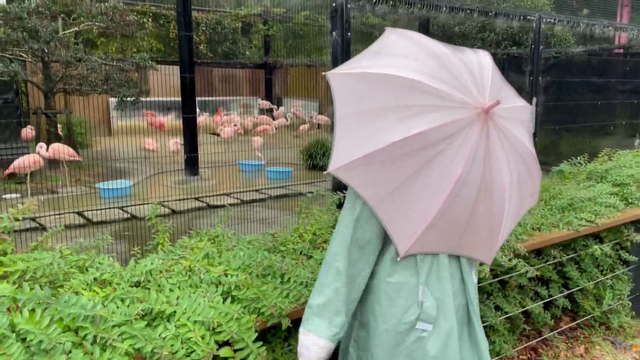 いつもと違う動物園を求めて...親子が“休園日に通う”ワケ 自閉症の娘と家族の穏やかな一日