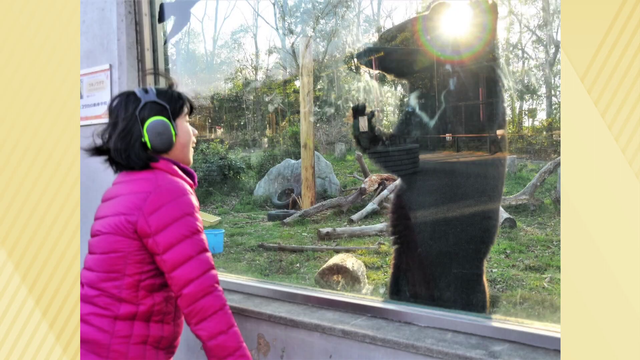 いつもと違う動物園を求めて...親子が“休園日に通う”ワケ 自閉症の娘と家族の穏やかな一日