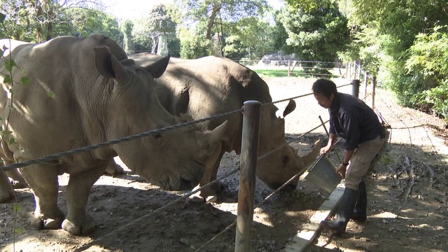 いつもと違う動物園を求めて...親子が“休園日に通う”ワケ 自閉症の娘と家族の穏やかな一日
