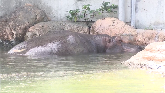 いつもと違う動物園を求めて...親子が“休園日に通う”ワケ 自閉症の娘と家族の穏やかな一日