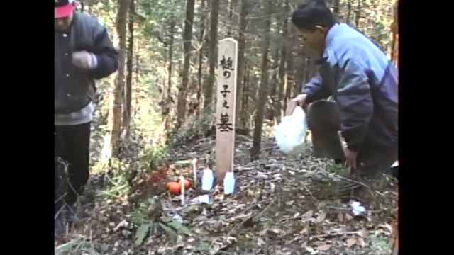 秘蔵映像が明かす“つちのこ神社”誕生の真相...「つちのこはいる」小さな村に2,300人が集結、生け捕りで狙う一攫千金　岐阜・東白川村