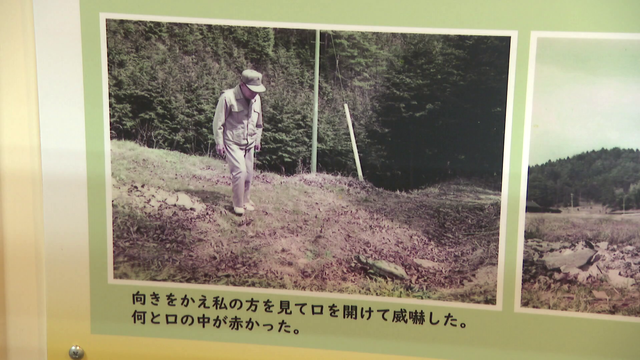 秘蔵映像が明かす“つちのこ神社”誕生の真相...「つちのこはいる」小さな村に2,300人が集結、生け捕りで狙う一攫千金　岐阜・東白川村