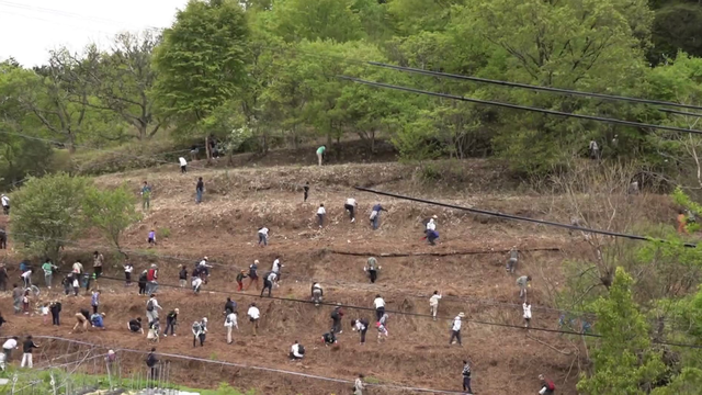 秘蔵映像が明かす“つちのこ神社”誕生の真相...「つちのこはいる」小さな村に2,300人が集結、生け捕りで狙う一攫千金　岐阜・東白川村