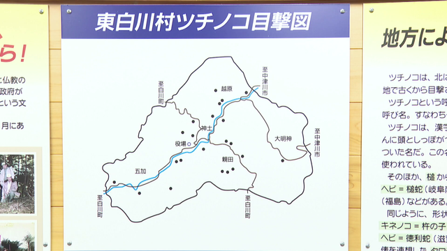 秘蔵映像が明かす“つちのこ神社”誕生の真相...「つちのこはいる」小さな村に2,300人が集結、生け捕りで狙う一攫千金　岐阜・東白川村