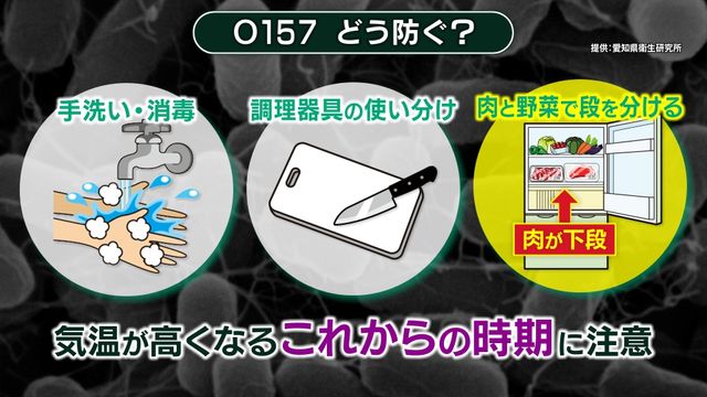 腸管出血性大腸菌「O157」の脅威　過去には死者や1万人近い大規模被害も　コストコ「ハイローラー」食中毒でも男児1人が重症に　改めて知るべき“今すぐできる”予防策