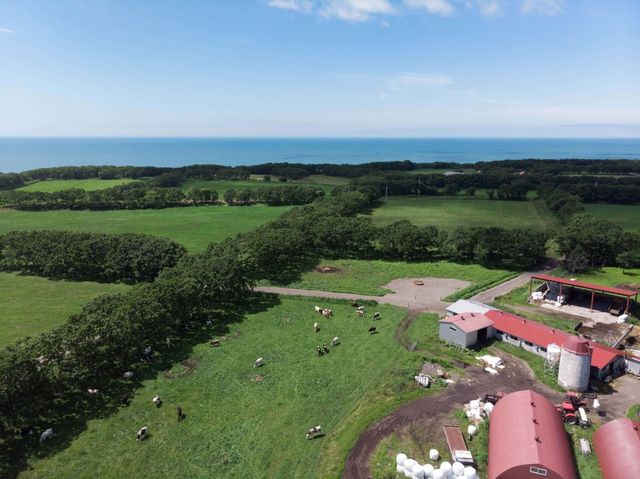 「なぜSNOWSは冬だけ？」アムール・デュ・ショコラの人気スイーツ、おいしさのヒントは“放牧酪農”　循環型再生農場でエコな素材づくり