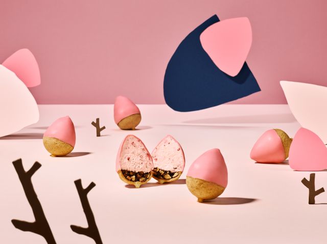 「なぜSNOWSは冬だけ？」アムール・デュ・ショコラの人気スイーツ、おいしさのヒントは“放牧酪農”　循環型再生農場でエコな素材づくり