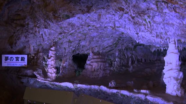 「冷蔵庫に頭突っ込んだみたい」　人混み避けて“ひんやり”　岐阜・高山市「飛騨大鍾乳洞」