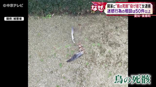 隣家に“鳥の死骸”投げ捨て女逮捕 迷惑行為の相談は50件以上 愛知・東郷町