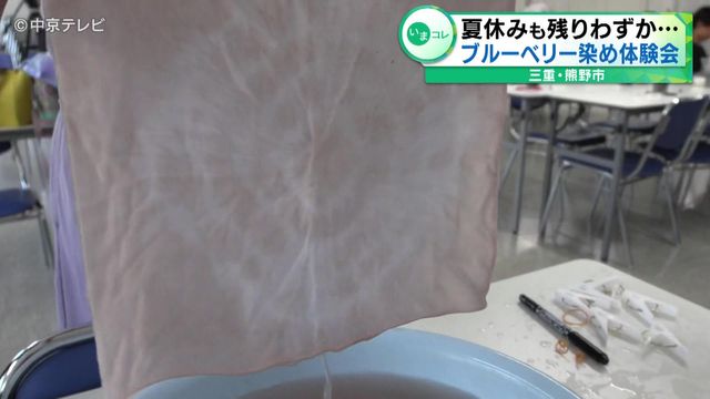 夏休みも残りわずか… ブルーベリー染め体験会 三重・熊野市