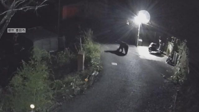 7年ぶりの人身被害をうけ…「クマ人身被害対策チーム」設置　愛知県