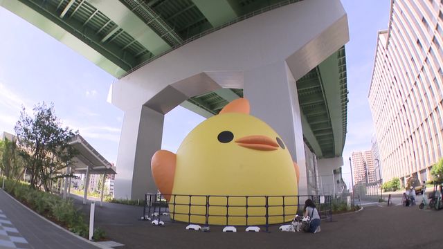 名古屋で「大黄金展」 “超プレミアム”ぴよりん誕生!金色ボディーのお値段は…