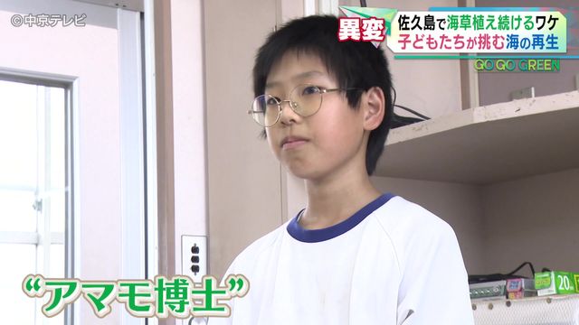 【25年】愛知・佐久島で「アマモ」植え続けるワケとは 漁師「魚は1/10に減った」