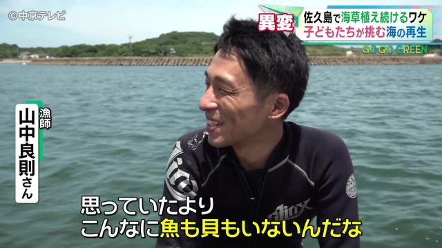 【25年】愛知・佐久島で「アマモ」植え続けるワケとは 漁師「魚は1/10に減った」