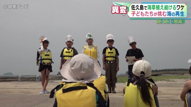 【25年】愛知・佐久島で「アマモ」植え続けるワケとは 漁師「魚は1/10に減った」