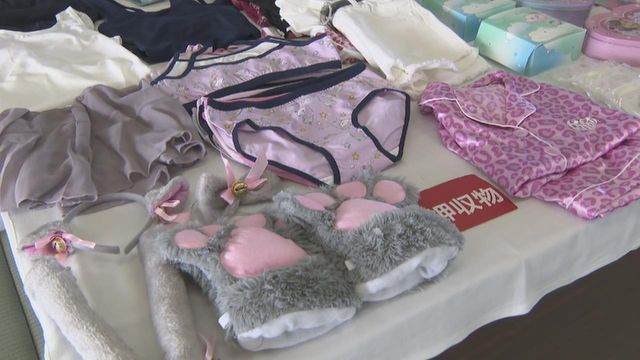 「ないしょで会いたいよ」ダンス動画を投稿していた女の子にメッセージ送信 わいせつ目的で女児に面会要求か 男(49)逮捕 子どもに人気のお菓子を渡すことを約束に会うことを要求 愛知県警