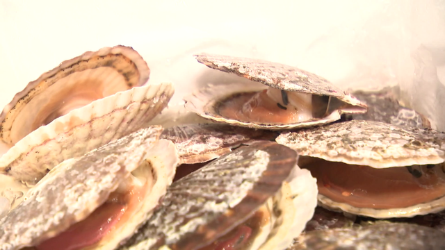 ホタテにホルモン鍋、デザートは濃厚ヨーグルト...“東北の味”を岐阜で味わう　震災の記憶をつなぐ1日限定食堂、おいしさの裏にある復興の物語