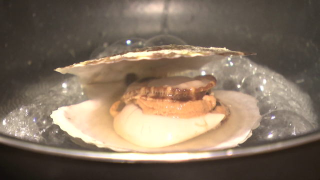 ホタテにホルモン鍋、デザートは濃厚ヨーグルト...“東北の味”を岐阜で味わう　震災の記憶をつなぐ1日限定食堂、おいしさの裏にある復興の物語