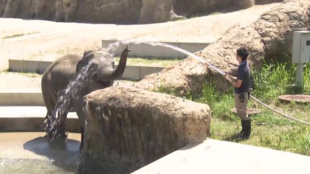 140種類以上の動物たちを猛暑から守るため様々な対策が 愛知・豊橋市「のんほいパーク」