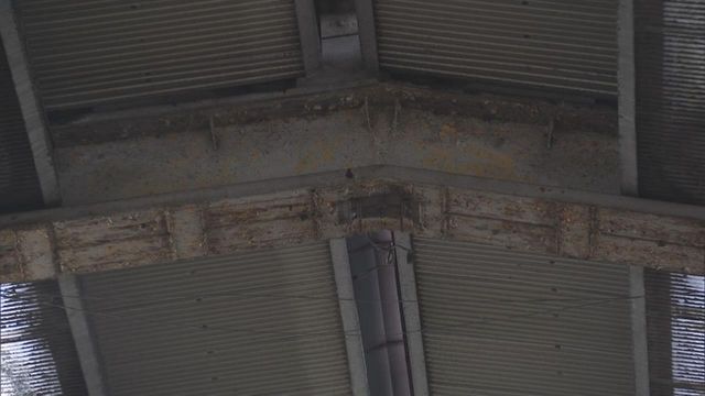 消える柳ヶ瀬のシンボル　アーケードを半分近く撤去へ　老朽化や維持管理の問題で…　岐阜・岐阜市