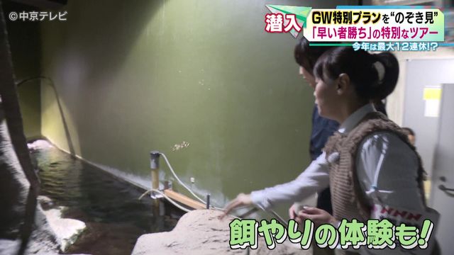 GW特別プランを“のぞき見” 　水族館のバックヤードツアー　岐阜・各務原市「アクア・トト ぎふ」