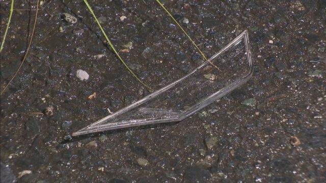 愛知・豊川市で乗用車にはねられ男子高校生(15)が死亡　三重・川越町でも小学3年生(8)が軽乗用車にはねられ重傷