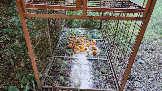 クマ出没で対策強化 地元猟友会が山間部に檻を設置 パトロールで警戒呼びかける 岐阜・大野町