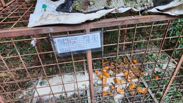 クマ出没で対策強化 地元猟友会が山間部に檻を設置 パトロールで警戒呼びかける 岐阜・大野町