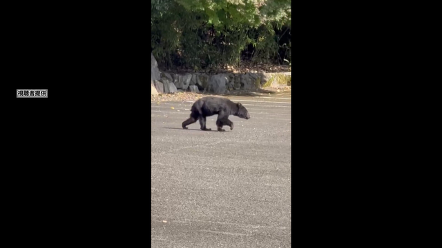クマ出没で対策強化 地元猟友会が山間部に檻を設置 パトロールで警戒呼びかける 岐阜・大野町