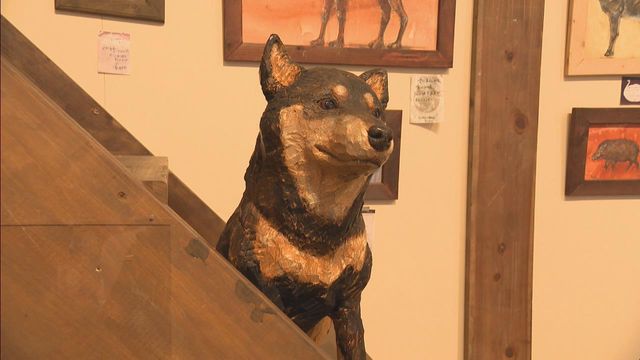 動物の木彫り展 彫刻家はしもとみおさんの作品約550点を展示 愛知・岡崎市「おかざき世界子ども美術博物館」