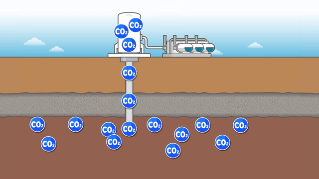 【大阪・関西万博】“使い終わると森になる建物”から“CO2を吸収する装置”まで　未来を変える「地球沸騰化」対策の技術が集結！