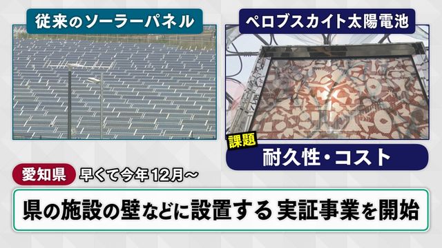 【大阪・関西万博】“使い終わると森になる建物”から“CO2を吸収する装置”まで　未来を変える「地球沸騰化」対策の技術が集結！