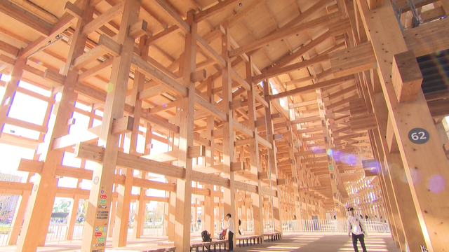 【大阪・関西万博】“使い終わると森になる建物”から“CO2を吸収する装置”まで　未来を変える「地球沸騰化」対策の技術が集結！