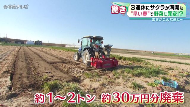 二股に分かれたニンジン　“早い春”で野菜に異変が　収穫時期の3月も暖かい日が続き二次成長が進む