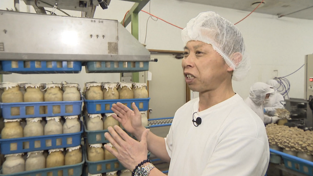 ”地球沸騰化”の救世主は、子どもたちに人気の”あの生き物”⁉　双子の兄弟が立ち上げたキノコの菌床の有効利用できる事業とはー　